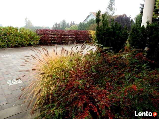 Ogrody z pomysłem, ogrody prawdziwe.