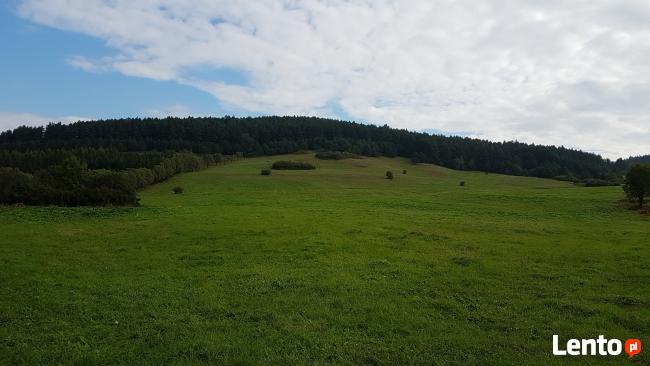 Bieszczady-Liskowate, grunt rolno-budowlany do sprzedania