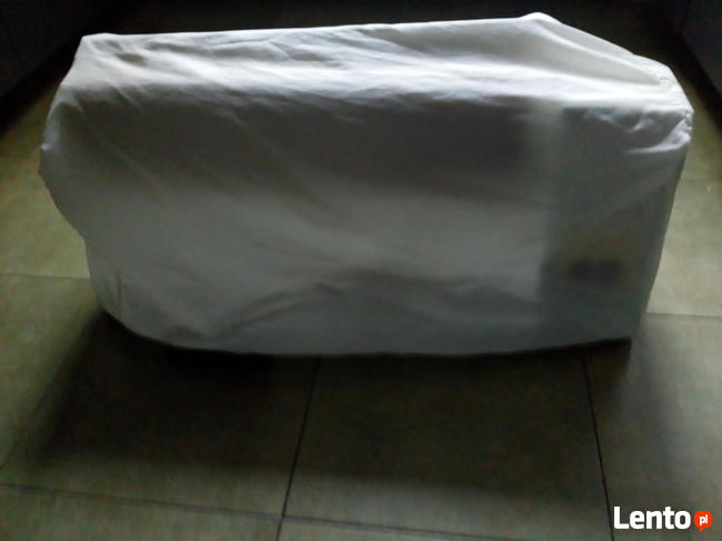 Magiel elektryczny, rzadkość