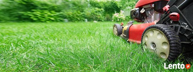 Pranie tapicerki meblowej, dywanów, sprzątanie biur