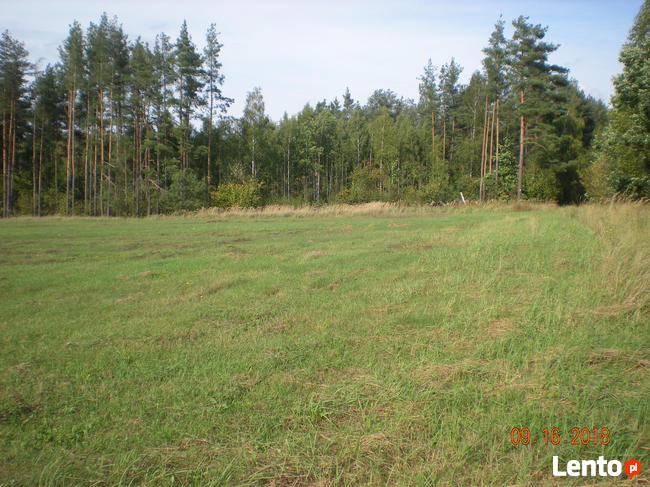 nieruchomosc rolna z planem inwestycyjnym.