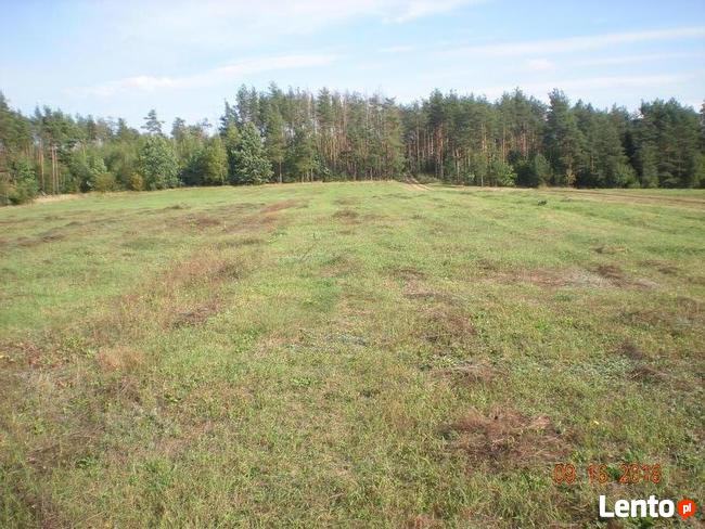 nieruchomosc rolna z planem inwestycyjnym.