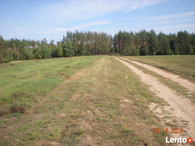 nieruchomosc rolna z planem inwestycyjnym.