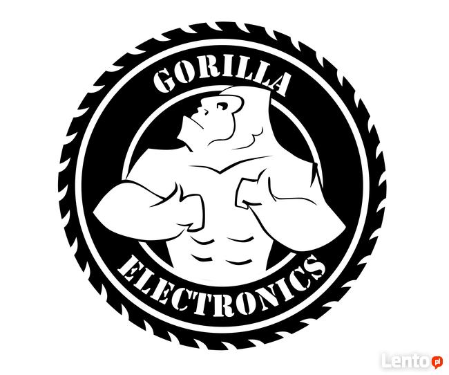 Gorilla Electronics Chiptuning DPF EGR Hamownia Bosch LPS