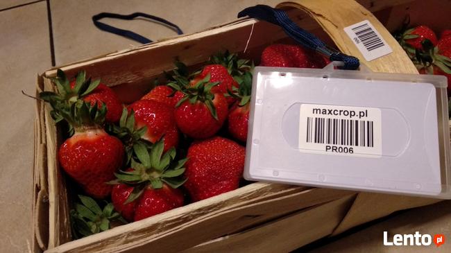 *Max Crop-program do zbiorów borówki, truskawki, maliny*