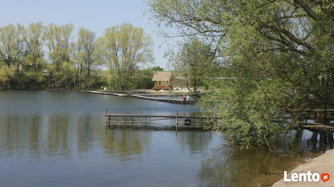BORY TUCHOLSKIE- CEKCYN z dostępem do jeziora- gaz, prąd, kan.