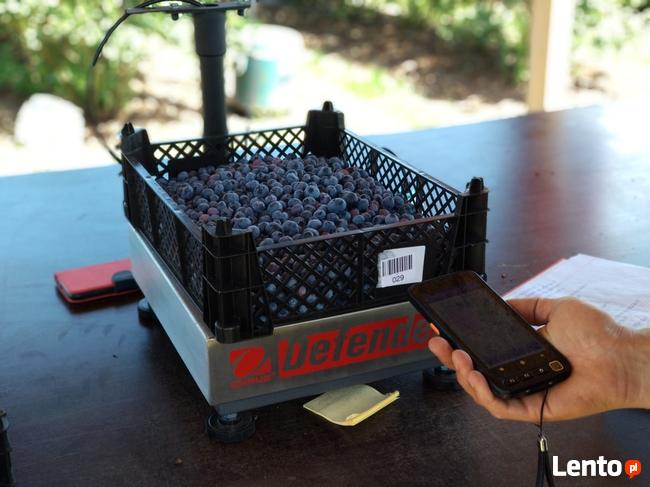 *Max Crop-program do zbiorów borówki, truskawki, maliny*