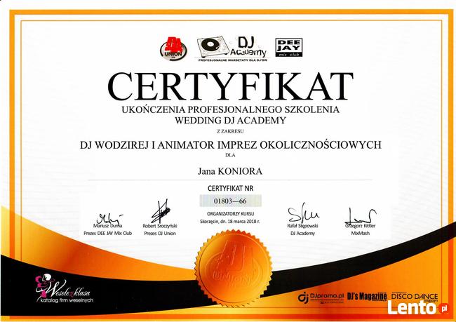 DJ na wesele Bielsko-Biała. DJ Trikmen