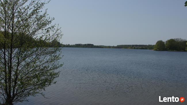BORY TUCHOLSKIE- CEKCYN z dostępem do jeziora- gaz, prąd, kan.