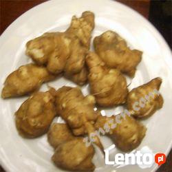 Topinambur eko może na sadzeniaki 1 kg