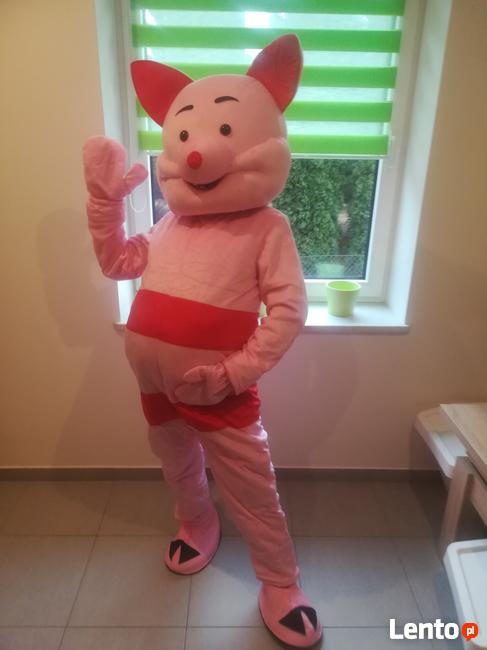 PROSIACZEK chodząca żywa maskotka duży pluszak kostium