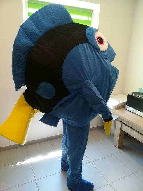 Rybka Nemo Dory Chodząca żywe duża maskotki Kostium reklama
