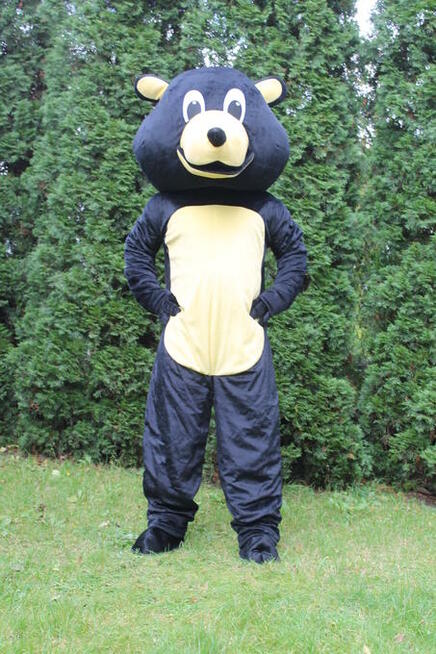 MIŚ CZARNY Chodząca żywa duża maskotka kostium reklamowy