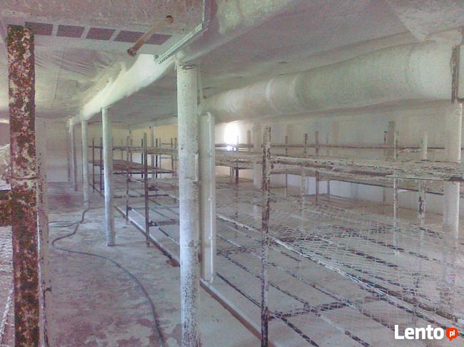 Sprzedam budynki gospodarcze, pieczarkarnia+0,5 h działka.