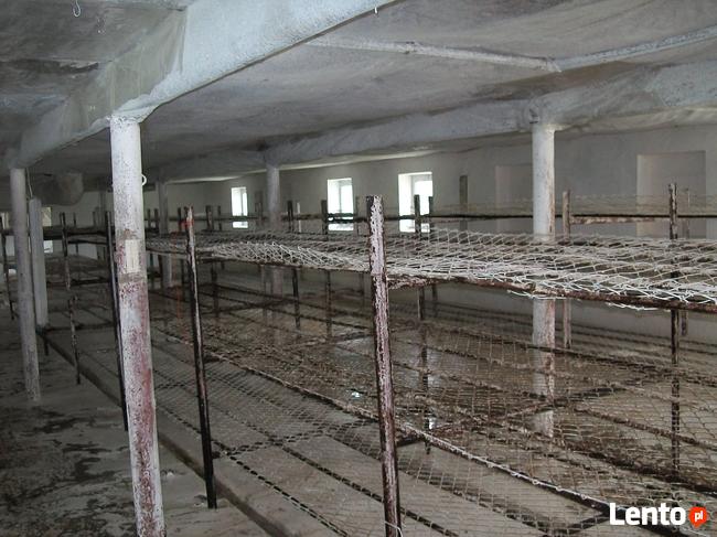 Sprzedam budynki gospodarcze, pieczarkarnia+0,5 h działka.