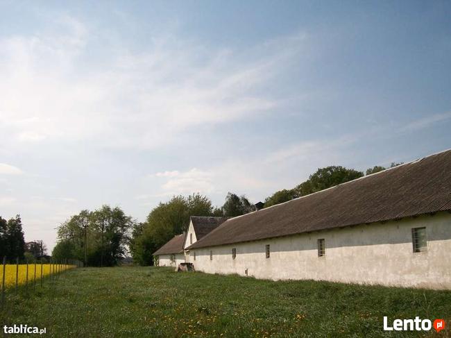 Sprzedam budynki gospodarcze, pieczarkarnia+0,5 h działka.