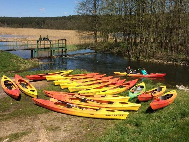 Spływy Kajakowe Drwęcą - Wypożyczalnia kajaków