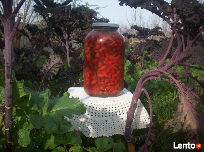 Kiszony owoc dzikiej róży