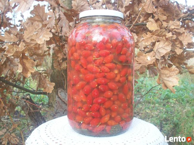 Kiszony owoc dzikiej róży