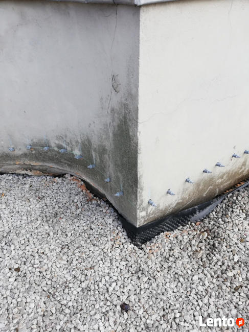 osuszanie odgrzybianie iniekcja krystaliczna KATOWICE okolic