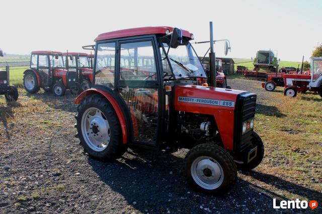 Massey Ferguson 255 sadowniczy ogrodniczy