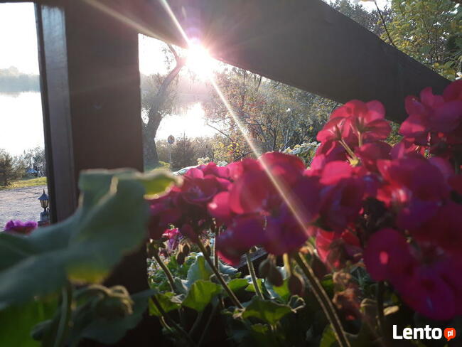 Noclegi Ełk Jagiełły 11