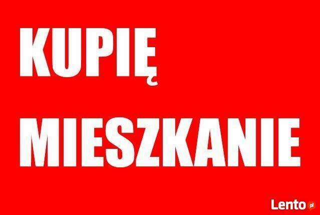 Współpraca !! zgłoszenie bez PROWIZJI!!