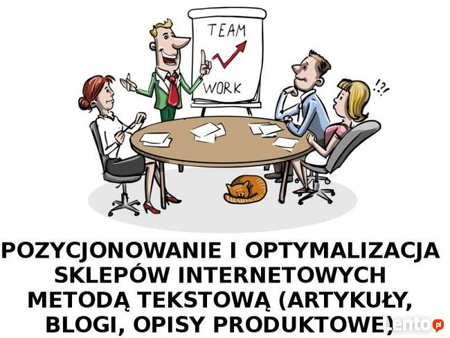 Pozycjonowanie sklepu internetowego za pomocą artykułów 10zł