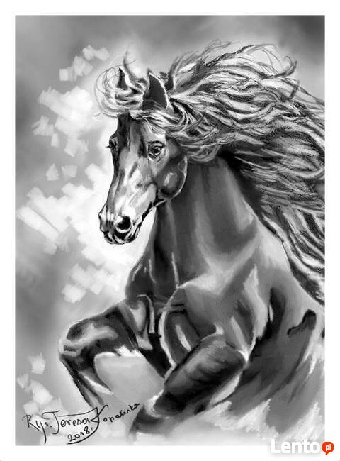 Koń w rysunku.