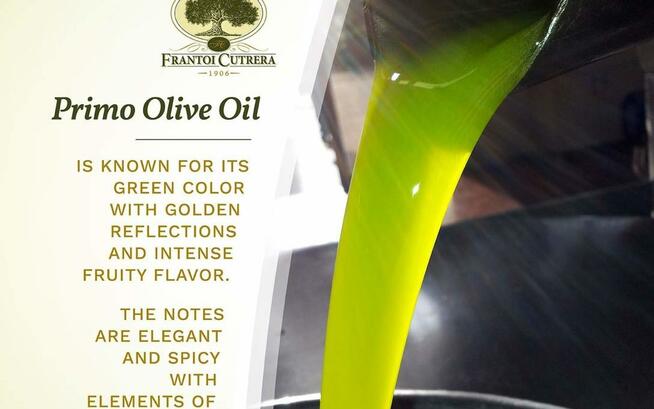 OLIWA Z OLIWEK CENA OLIWY Z OLIWEK SKLEP