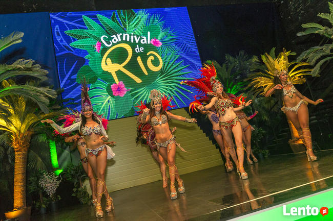 Pokazy samby brazylijskiej