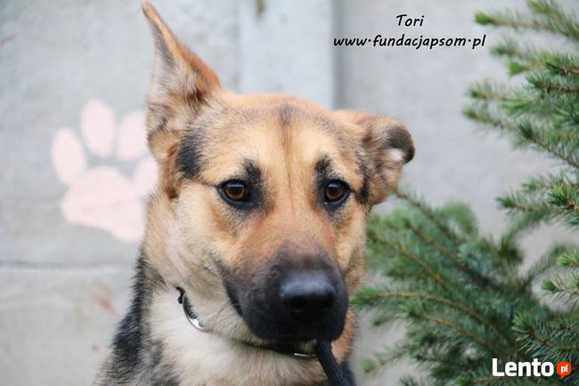 Tori - sunia w typie Onka