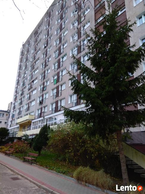 Wolne mieszkania dla seniorów