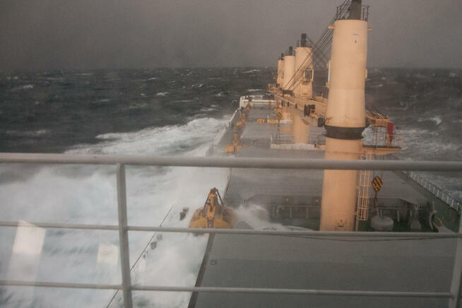 POZNAM PANIOM 18-35lat.