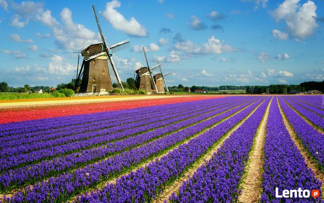 Licencjonowany przewóz osób do Polski - Zapraszamy