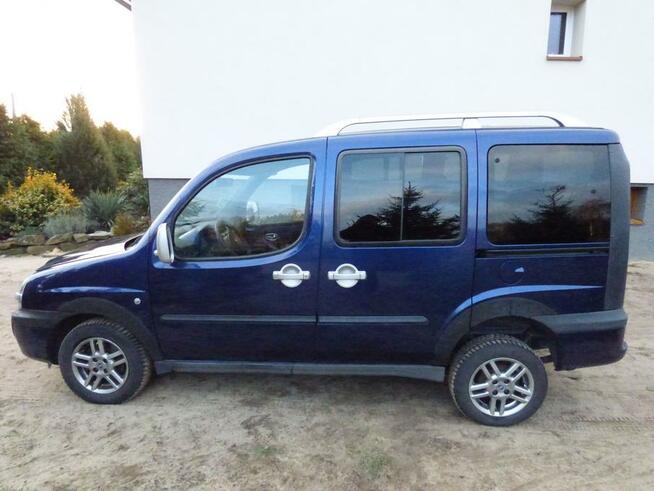 skup aut wszystkie marki