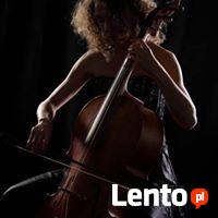 oprawa spotkania wigilijnego, skrzypce, śpiew, piano i inne