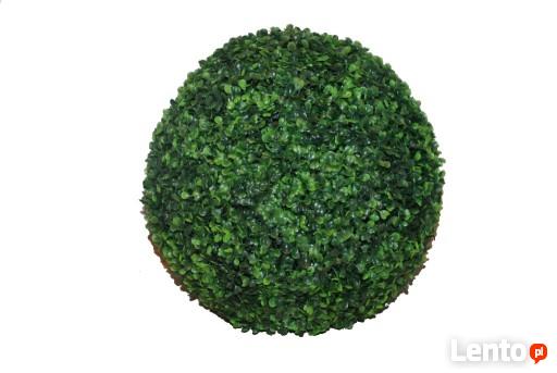 Kula dekoracyjna - bukszpan OSTATNIE 2 SZTUKI!!!