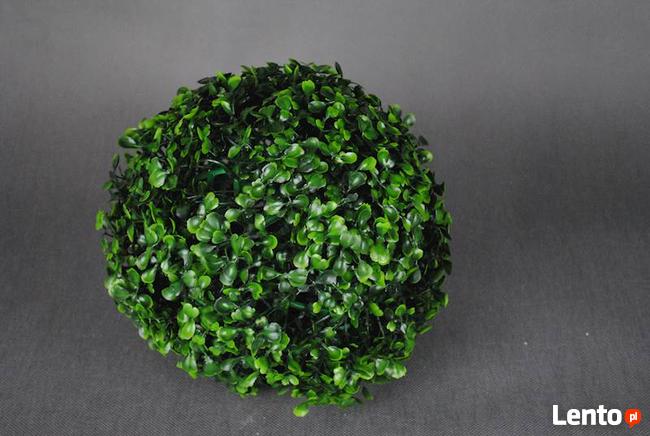 Kula dekoracyjna - bukszpan OSTATNIE 2 SZTUKI!!!