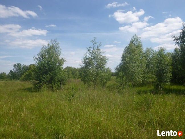 Działki budowlane w pobliżu Łodzi przy lesie RÓŻNE wielkości