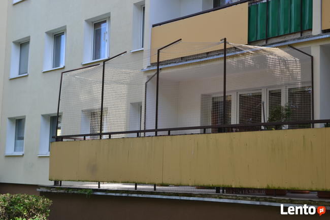 Siatka dla kota, siatka na balkon - Zielona Góra
