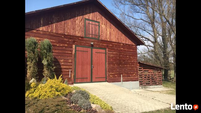 Stajnia wolnowybiegowa dla koni emerytów 55 km od wawy