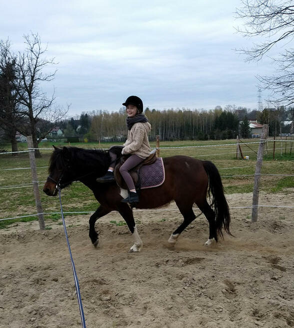 Jazda konna Rzuchowa/Tarnów