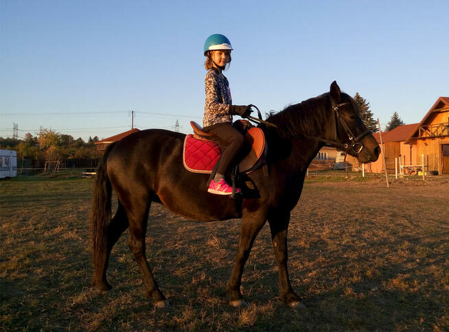 Jazda konna Rzuchowa/Tarnów