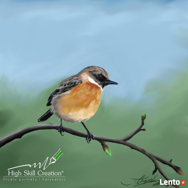 Grafika rastrowa ilustracja komputerowa grafik Gimp obraz