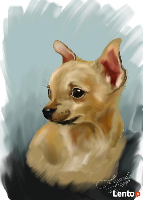 Grafika rastrowa ilustracja komputerowa grafik Gimp obraz