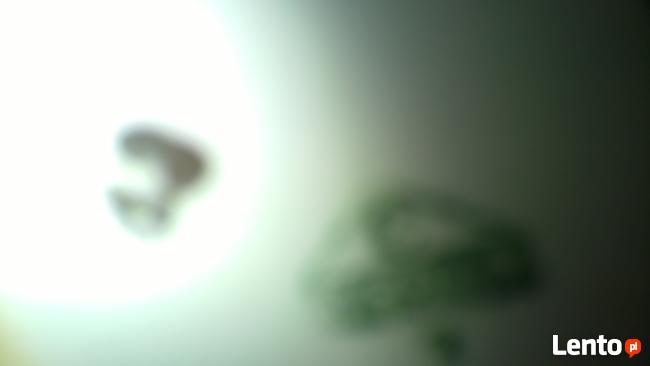 wazon porcelanowy chodziez