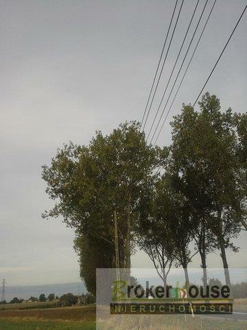 Działka inwestycyjna Jaworzno Bankowe gm. Rudniki