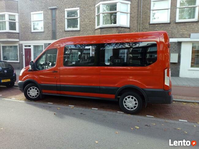 Busy Holandia Niemcy Belgia Transport Osób