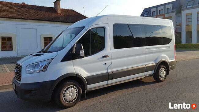 Busy Holandia Niemcy Belgia Transport Osób